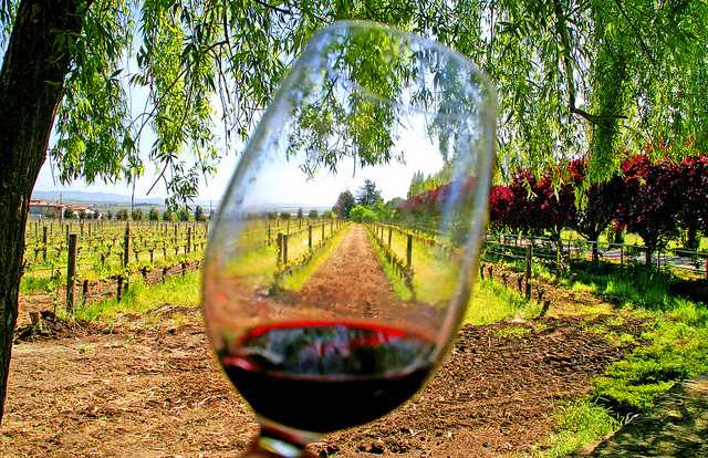 wine competition central california