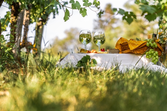 End of Summer in Paso Robles