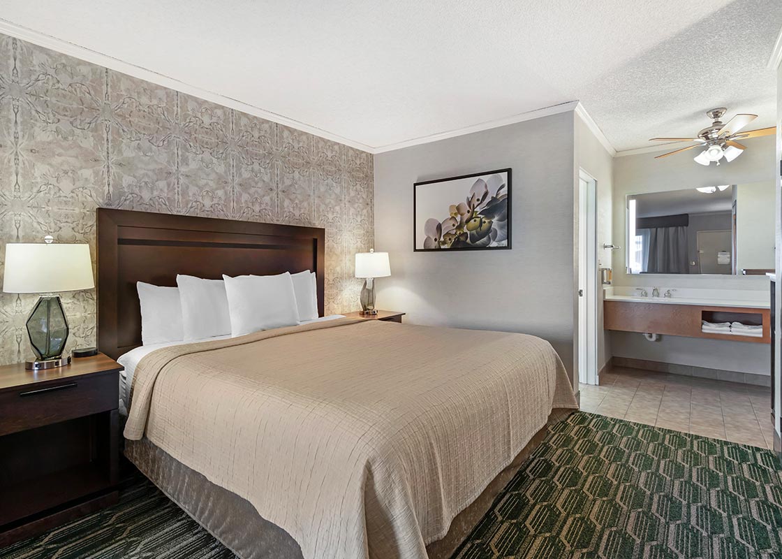 Deluxe Room | 1 King Bed 
